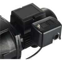 Dual Voltage Cast Iron Shallow Well Jet Pump, 115 V/230 V, 1100 GPH, 1 HP DC853 | King Materials Handling