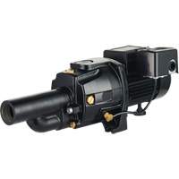 Dual Voltage Cast Iron Convertible Jet Pump, 115 V/230 V, 1400 GPH, 3/4 HP DC856 | King Materials Handling