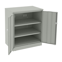 Deluxe Counter High Cabinet, Steel, 2 Shelves, 42" H x 36" W x 24" D, Light Grey FL644 | King Materials Handling