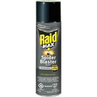 Raid<sup>®</sup> Max<sup>®</sup> Spider Blaster Bug Killer Insecticide, 500 g, Aerosol Can, Solvent Base JM270 | King Materials Handling