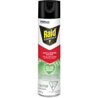 Raid<sup>®</sup> Essentials™ Ant & Spider Killer, 350 g, Aerosol Can JP467 | King Materials Handling