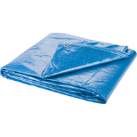 Tarp, Standard Duty, Blue, 7' x 5' x 4 mils NN363 | King Materials Handling