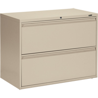 Lateral Cabinet, Steel, 2 Drawers, 36" W x 19-1/4" D x 27-31/100" H, Beige OP326 | King Materials Handling