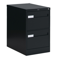 Vertical Filing Cabinet with Recessed Drawer Handles, 2 Drawers, 18.15" W x 26.56" D x 29" H, Black OTE611 | King Materials Handling