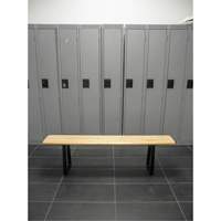 Locker Room Bench, Wood, 96" L x 9-1/4" W x 16-1/2" H RL874 | King Materials Handling