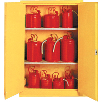 Insulated Flammable Liquid Safety Cabinets, 30 gal., 2 Door, 44" W x 45" H x 19" D SA087 | King Materials Handling