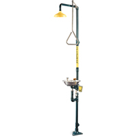 Safe-T-Zone<sup>®</sup> Combination Shower & Eye/Face Wash SD546 | King Materials Handling