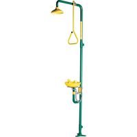 Safe-T-Zone<sup>®</sup> Combination Shower & Eye/Face Wash SD547 | King Materials Handling