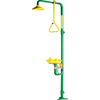 Safe-T-Zone<sup>®</sup> Aerated Combination Shower & Eyewash SD548 | King Materials Handling