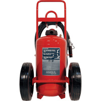 Red Line<sup>®</sup> Wheeled Fire Extinguishers, BC, 150 lbs. Capacity SDN839 | King Materials Handling