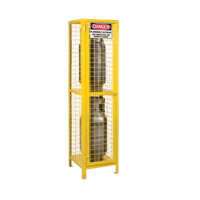 Gas Cylinder Cabinets, 2 Cylinder Capacity, 17" W x 17" D x 69" H, Yellow SEB838 | King Materials Handling