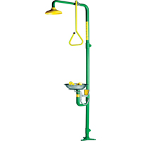 Safe-T-Zone<sup>®</sup> Aerated Combination Shower & Eye Wash SF858 | King Materials Handling
