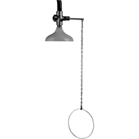 Lifesaver<sup>®</sup> Emergency Overhead Showers, Ceiling-Mount SF859 | King Materials Handling
