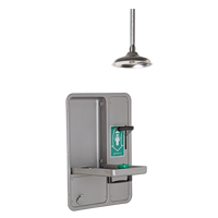 Eye/Face Wash and Shower, Ceiling-Mount SGC294 | King Materials Handling