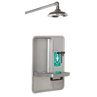 Eye/Face Wash and Shower, Ceiling-Mount SGC296 | King Materials Handling