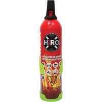 Fire Extinguisher, ABC/K, 2 lbs. Capacity SGC461 | King Materials Handling