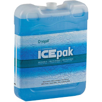 Ice-Pak™ IP-200 Reusable Transport Ice Pack SGT457 | King Materials Handling