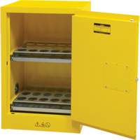 Flammable Aerosol Storage Cabinet, 12 gal., 1 Door, 23" W x 35" H x 18" D SGX675 | King Materials Handling
