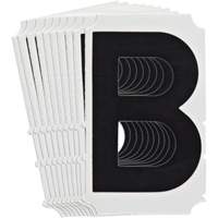 Quick-Align<sup>®</sup> Individual Gothic Number and Letter Labels, B, 4" H, Black SZ990 | King Materials Handling