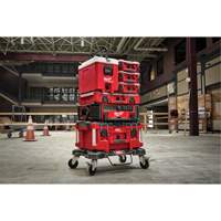 Packout™ Compact Cooler, 16 qt. Capacity TER113 | King Materials Handling