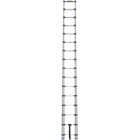 Telescopic Ladder, 3' - 15.5', Aluminum, 250 lbs. Capacity, Type 1 VC252 | King Materials Handling