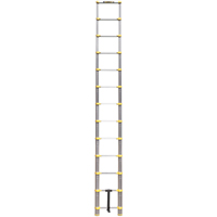 Telescopic Ladder, 3' - 12', Aluminum, 250 lbs. Capacity, Type 1 VC441 | King Materials Handling