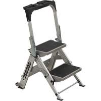Tilt & Roll Step Stool Ladder, 2 Steps, 23" x 21" x 34.50" High VD438 | King Materials Handling
