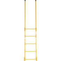 Walk-Through Style Dock Ladder VD450 | King Materials Handling