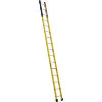 Single Manhole Ladder, 16', Fibreglass, 375 lbs., CSA Grade 1AA VD464 | King Materials Handling