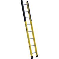 Single Manhole Ladder, 8', Fibreglass, 375 lbs., CSA Grade 1AA VD468 | King Materials Handling