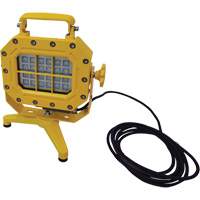 Explosion Proof Floodlight with Stand, LED, 40 W, 5600 Lumens, Aluminum Housing XJ040 | King Materials Handling