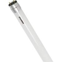 SubstiTUBE<sup>®</sup> Frosted Glass LED Bulb, 12 W, T8, 5000 K, 48" L XJ097 | King Materials Handling