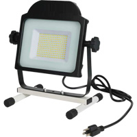 Floodlight, LED, 100 W, 10000 Lumens XJ197 | King Materials Handling