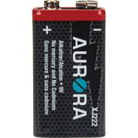 Industrial Alkaline Batteries, 9 V XJ222 | King Materials Handling