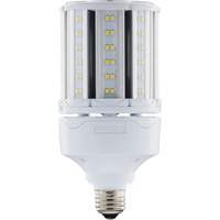 Ampoule HID de remplacement sélectionnable ULTRA LED<sup>MC</sup>, E26, 18 W, 2700 lumens XJ275 | King Materials Handling