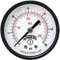 Manomètre économique,  2", 0 - 30 psi, Fixation arrière, Analogique YB863 | King Materials Handling